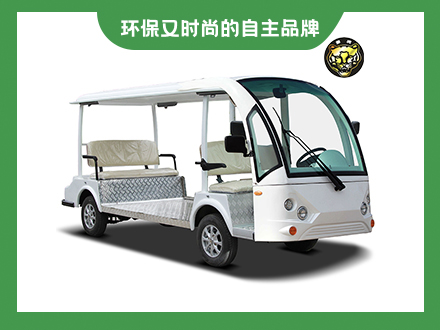 4座電動(dòng)改裝殘障車