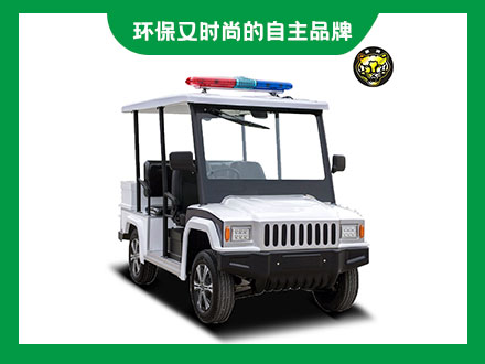 5座電動(dòng)巡邏車