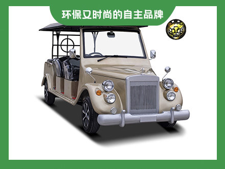 8座電動(dòng)老爺車(chē)銀灰