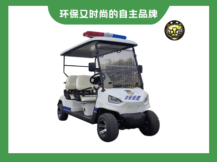 高爾夫電動巡邏車